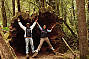 Mt. Field, Mt. Wellington & Tassie Devils - Day Tour