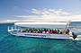 Glass Bottom Boat on Arlington Reef