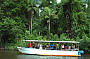 Daintree River Cruise