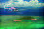 Green Island Helicopter Transfer from Cairns