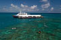 Arlington Reef Pontoon